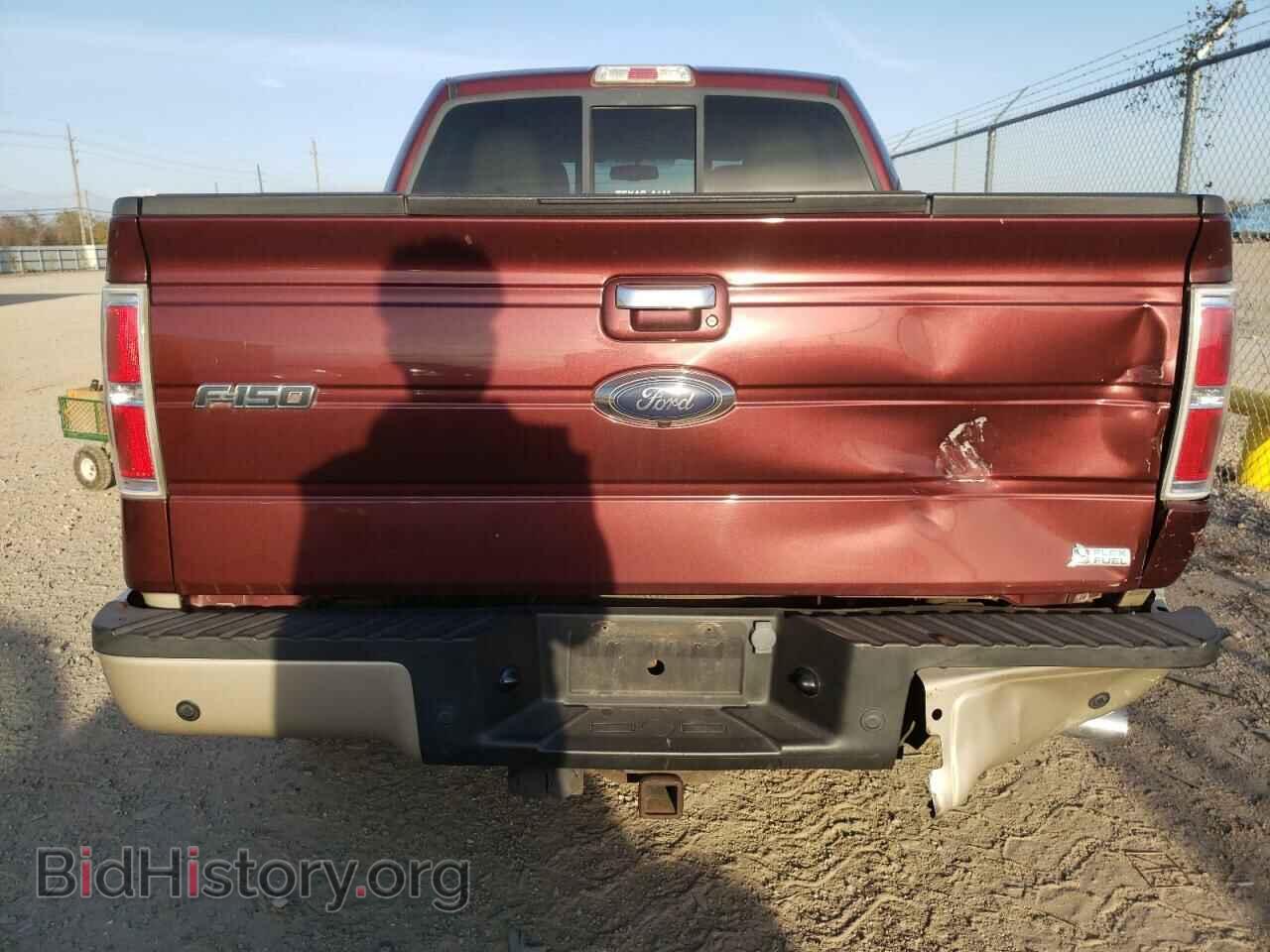 2010 FORD All Models - VIN: 1FTFW1EV2AFA78698 - Фото 6