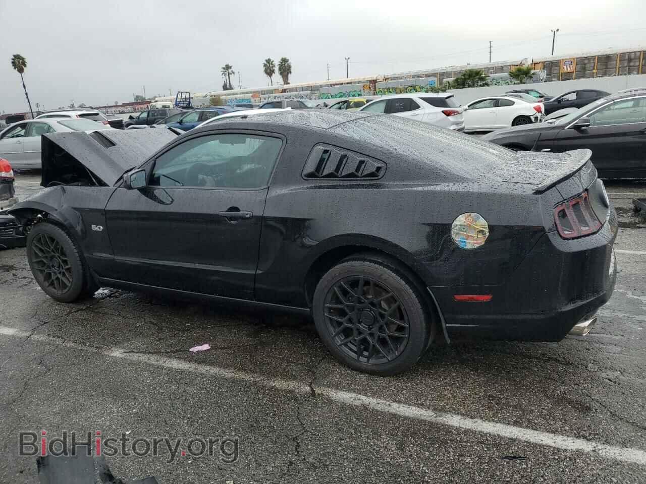 2013 FORD MUSTANG - VIN: 1ZVBP8CF3D5209483 - Фото 2