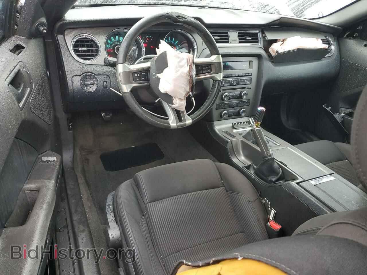 2013 FORD MUSTANG - VIN: 1ZVBP8CF3D5209483 - Фото 8