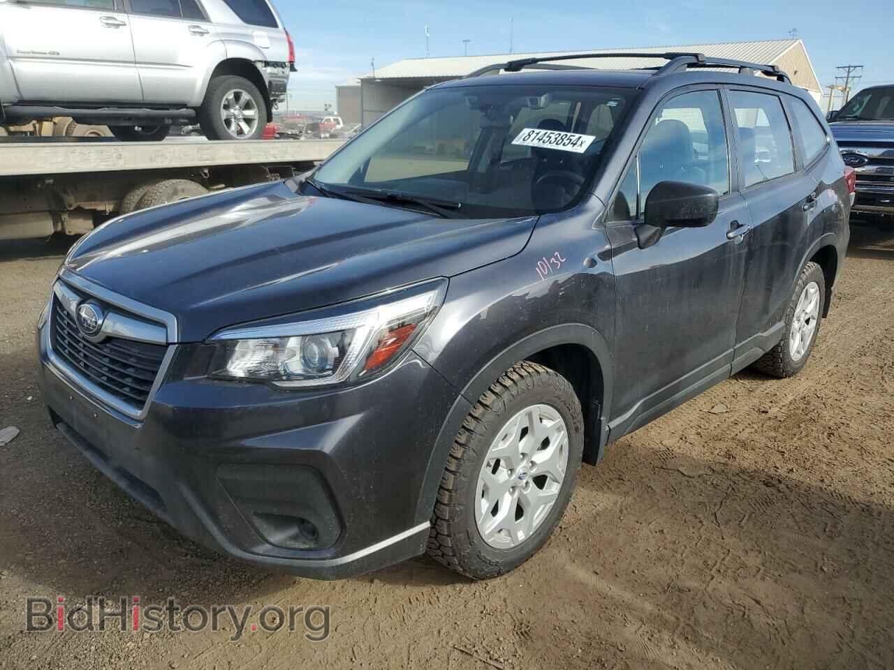 Фотография JF2SKACC0KH502964 - SUBARU FORESTER 2019