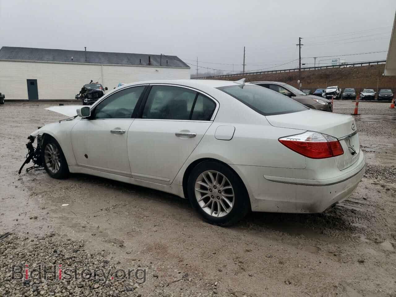 2009 HYUNDAI GENESIS - VIN: KMHGC46E29U034474 - Фото 2