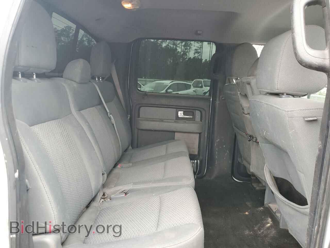 2013 FORD F-150 - VIN: 1FTFW1EF4DFA69076 - Фото 10