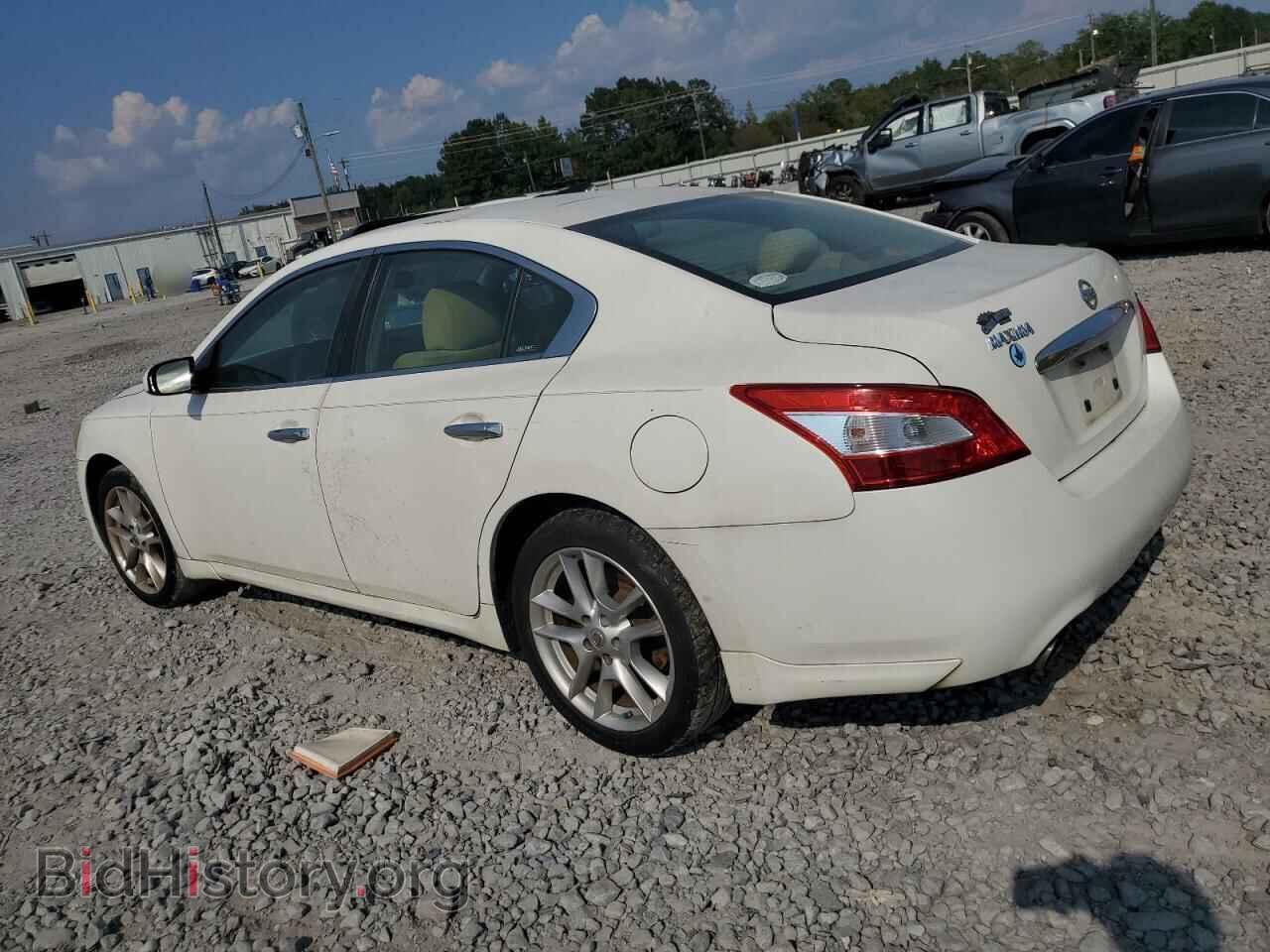 2010 NISSAN MAXIMA - VIN: 1N4AA5AP0AC841266 - Фото 2