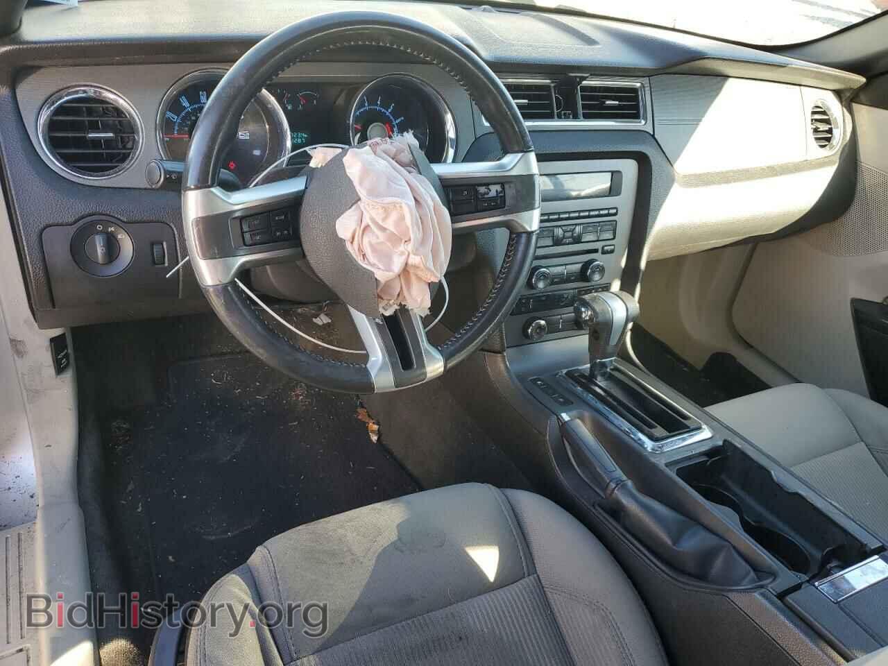2010 FORD ALL Models - VIN: 1ZVBP8EN5A5171626 - Фото 8