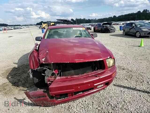 2009 FORD MUSTANG - VIN: 1ZVHT82H495102748 - Фото 13