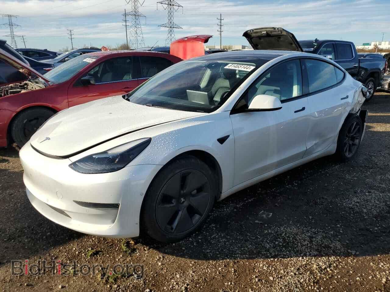 Photo 5YJ3E1EA4MF083526 - TESLA MODEL 3 2021