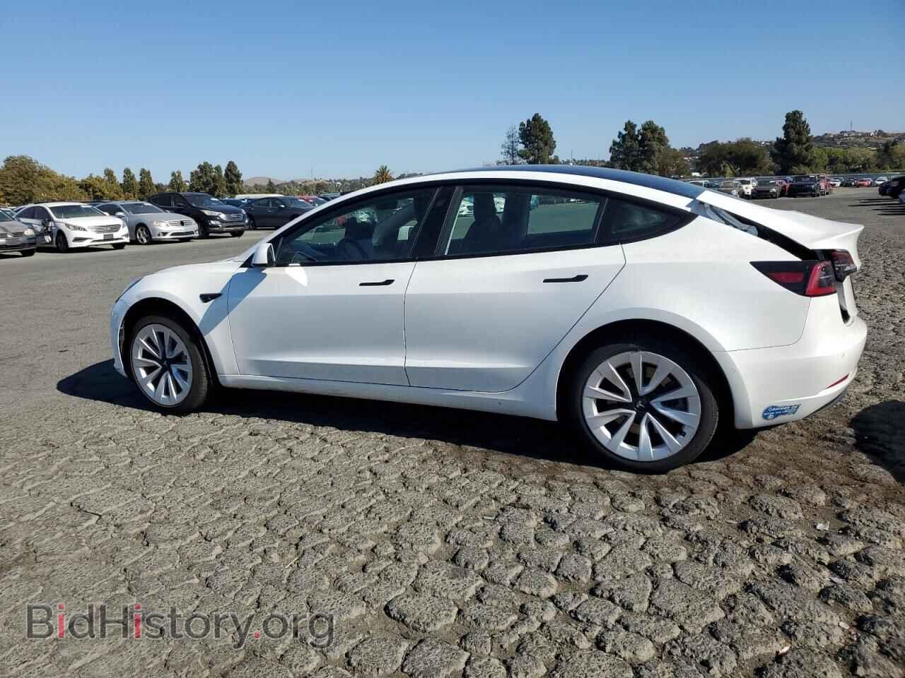 2021 TESLA MODEL 3 - VIN: 5YJ3E1EA0MF878542 - Photo 2