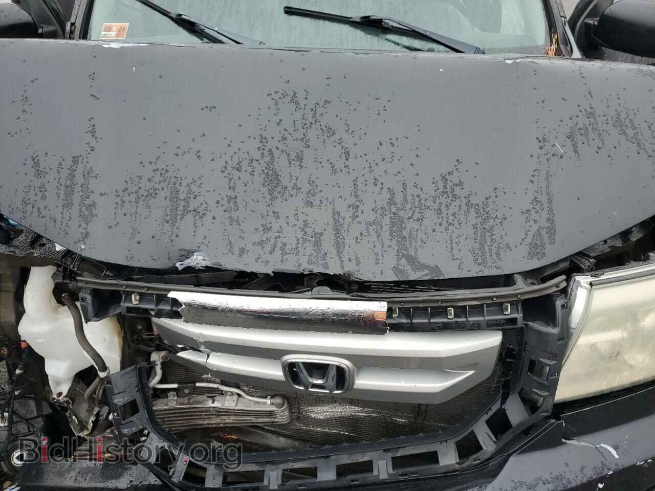 2009 HONDA PILOT - VIN: 5FNYF48839B031227 - Фото 12