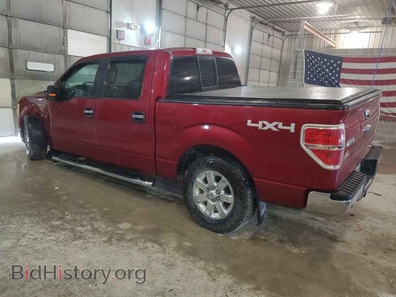 2014 FORD F-150 - VIN: 1FTFW1EF4EFA44700 - Фото 2