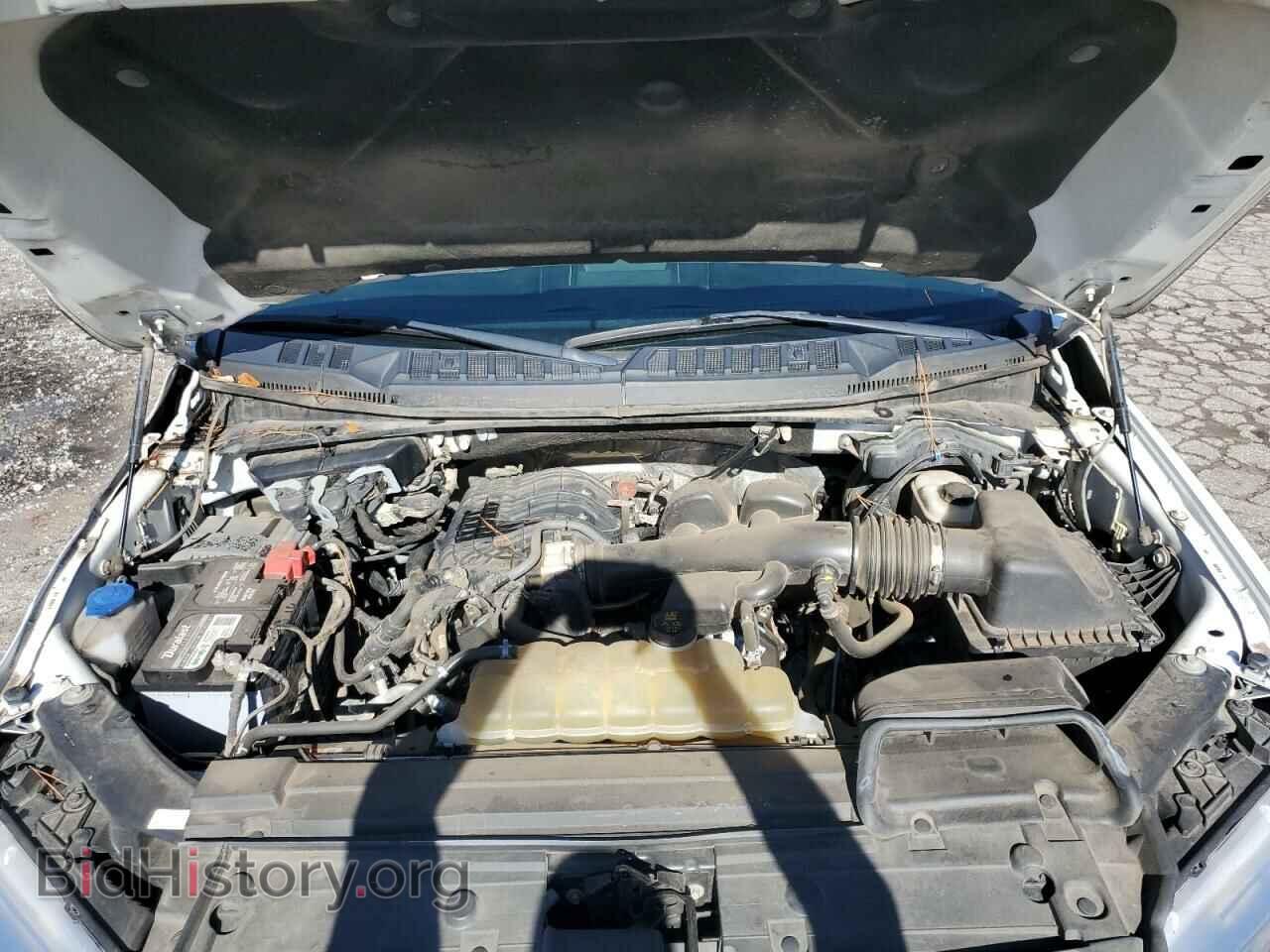 2019 FORD F-150 - VIN: 1FTEW1EB6KKD57310 - Фото 11