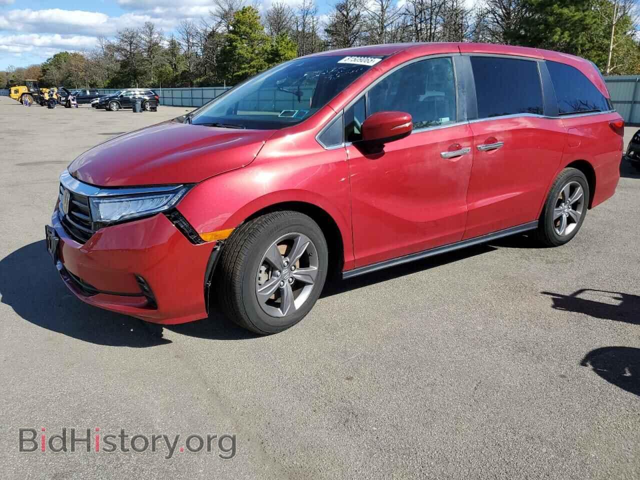 Фотография 5FNRL6H52PB052002 - HONDA All Models 2023