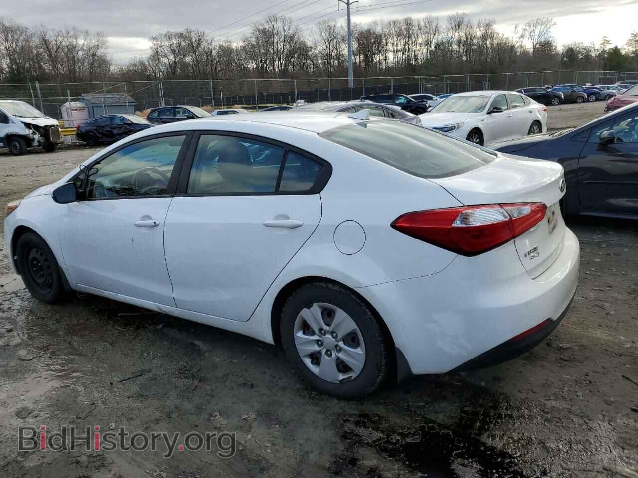 2016 KIA FORTE - VIN: KNAFK4A69G5613596 - Фото 2