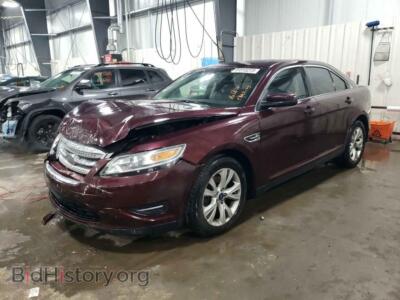 2011 Ford TAURUS SEL, темно-бордовый — VIN 1FAHP2EW8BG181064, Copart