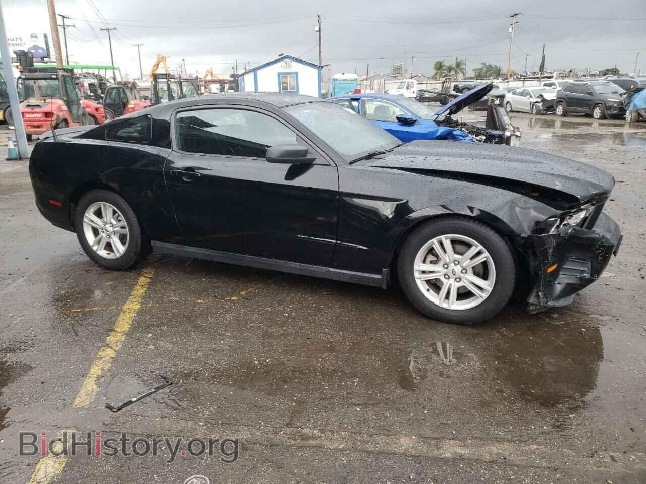 2011 FORD ALL Models - VIN: 1ZVBP8AM1B5138122 - Фото 4