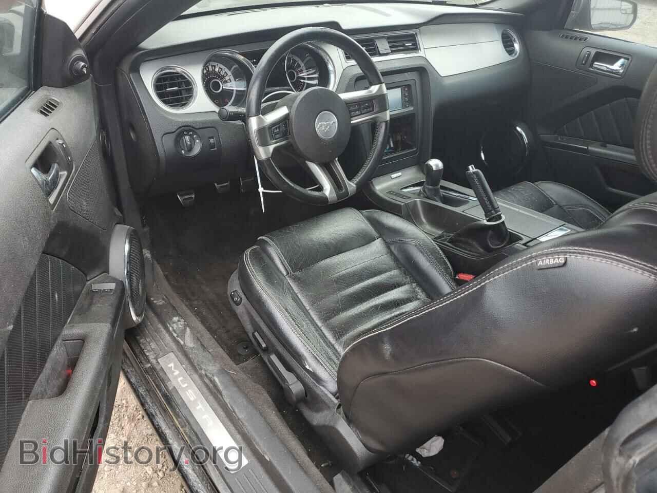 2013 FORD MUSTANG - VIN: 1ZVBP8CFXD5216169 - Фото 8