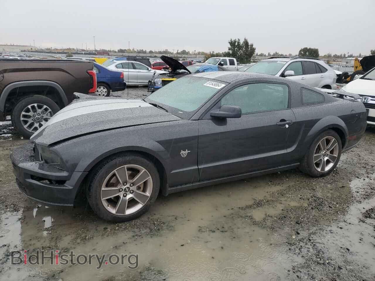 Фотография 1ZVHT82H095138551 - FORD MUSTANG 2009