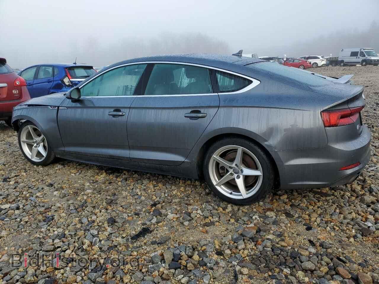2019 AUDI A5 - VIN: WAUENCF58KA059481 - Фото 2