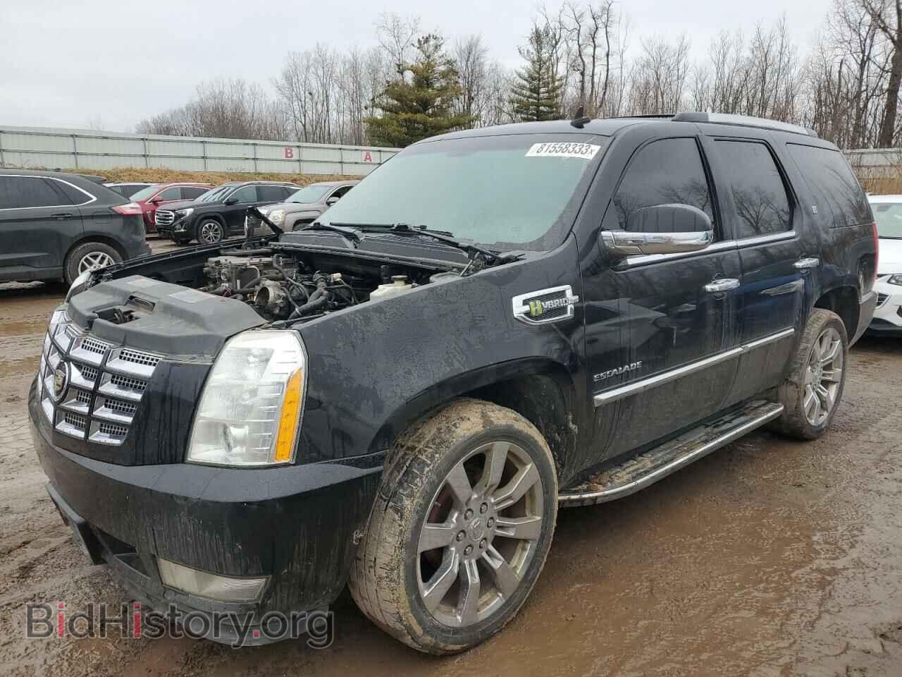 Photo 1GYS4EEJ1CR228420 - CADILLAC ESCALADE 2012