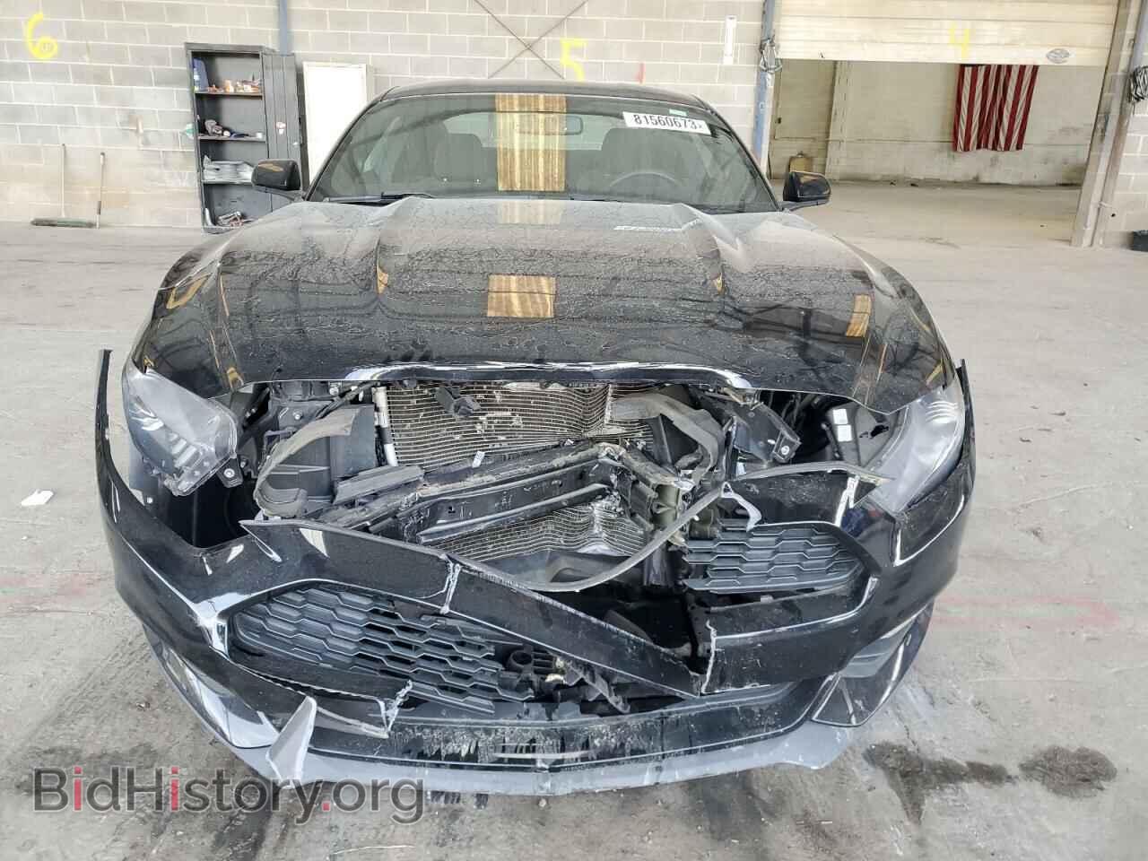 2017 FORD ALL Models - VIN: 1FA6P8AM7H5305392 - Фото 5