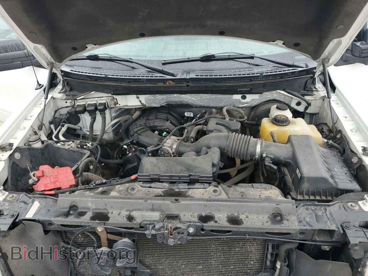 2013 FORD All Models - VIN: 1FTMF1CM8DKF64459 - Фото 11
