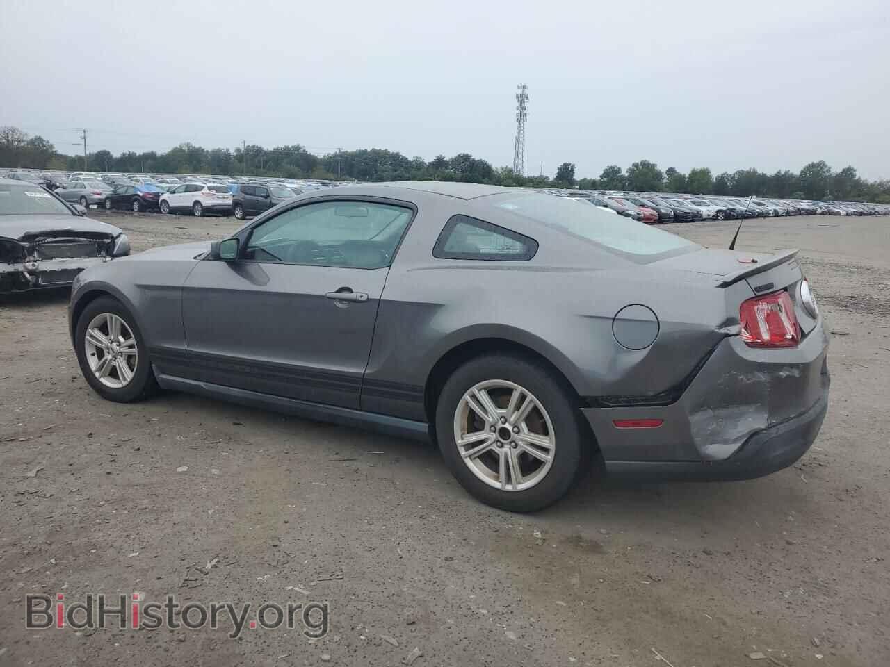 2010 FORD ALL Models - VIN: 1ZVBP8AN9A5112276 - Фото 2