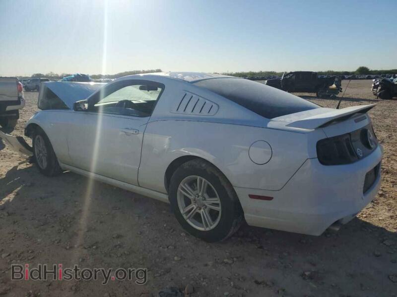 2014 Ford ALL MODELS (VIN 1ZVBP8AM4E5306159) — фото 2 из 12