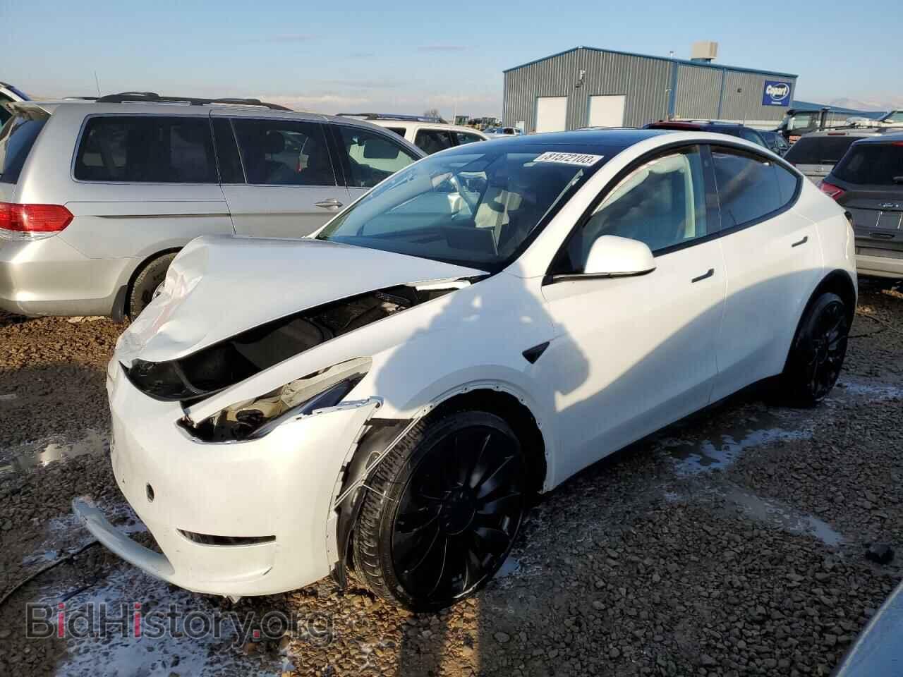Фотография 7SAYGDEF3PF591703 - TESLA MODEL Y 2023