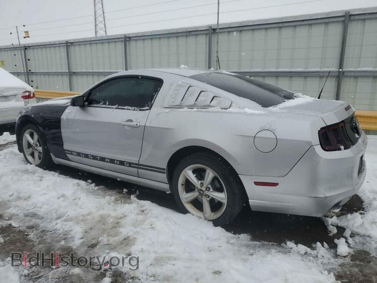 2013 FORD ALL Models - VIN: 1ZVBP8AM5D5203217 - Photo 2