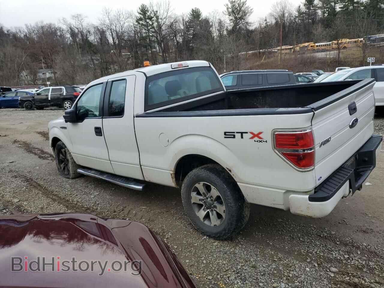 2013 FORD F-150 - VIN: 1FTFX1EF9DFD70309 - Фото 2