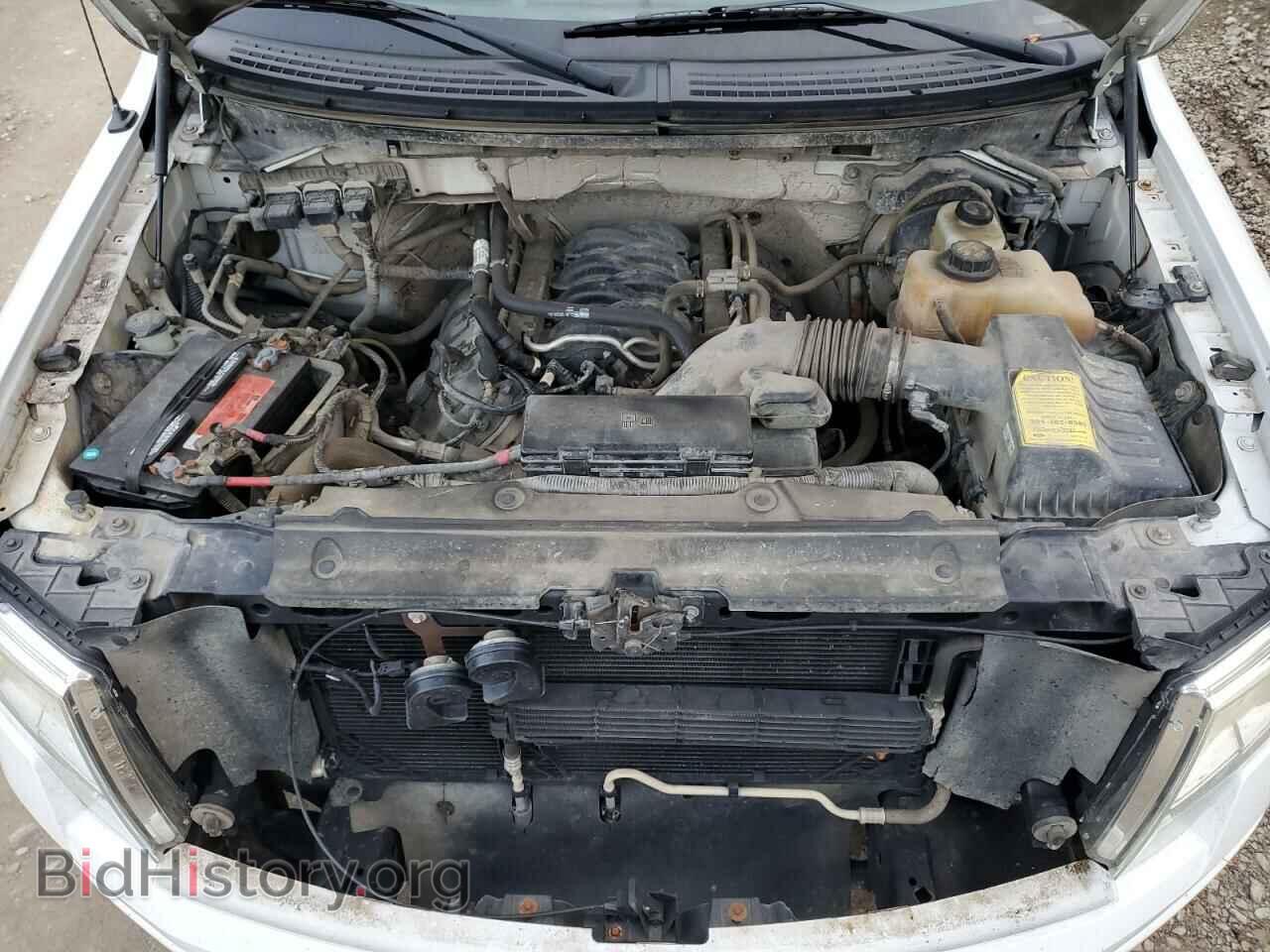2013 FORD F-150 - VIN: 1FTFX1EF9DFD70309 - Фото 11