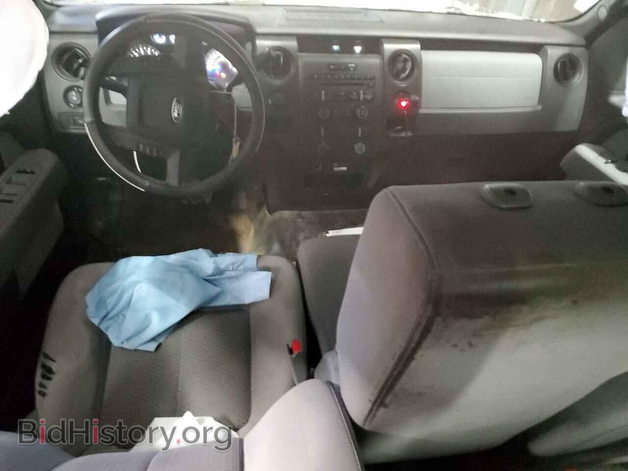 2013 FORD F-150 - VIN: 1FTFX1EF9DFD70309 - Фото 8