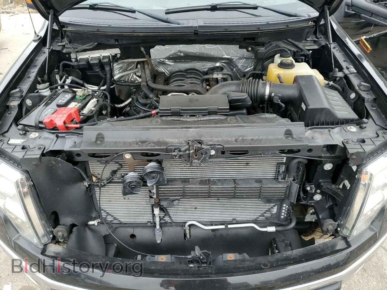 2013 FORD F-150 - VIN: 1FTFX1EFXDFD31695 - Фото 11