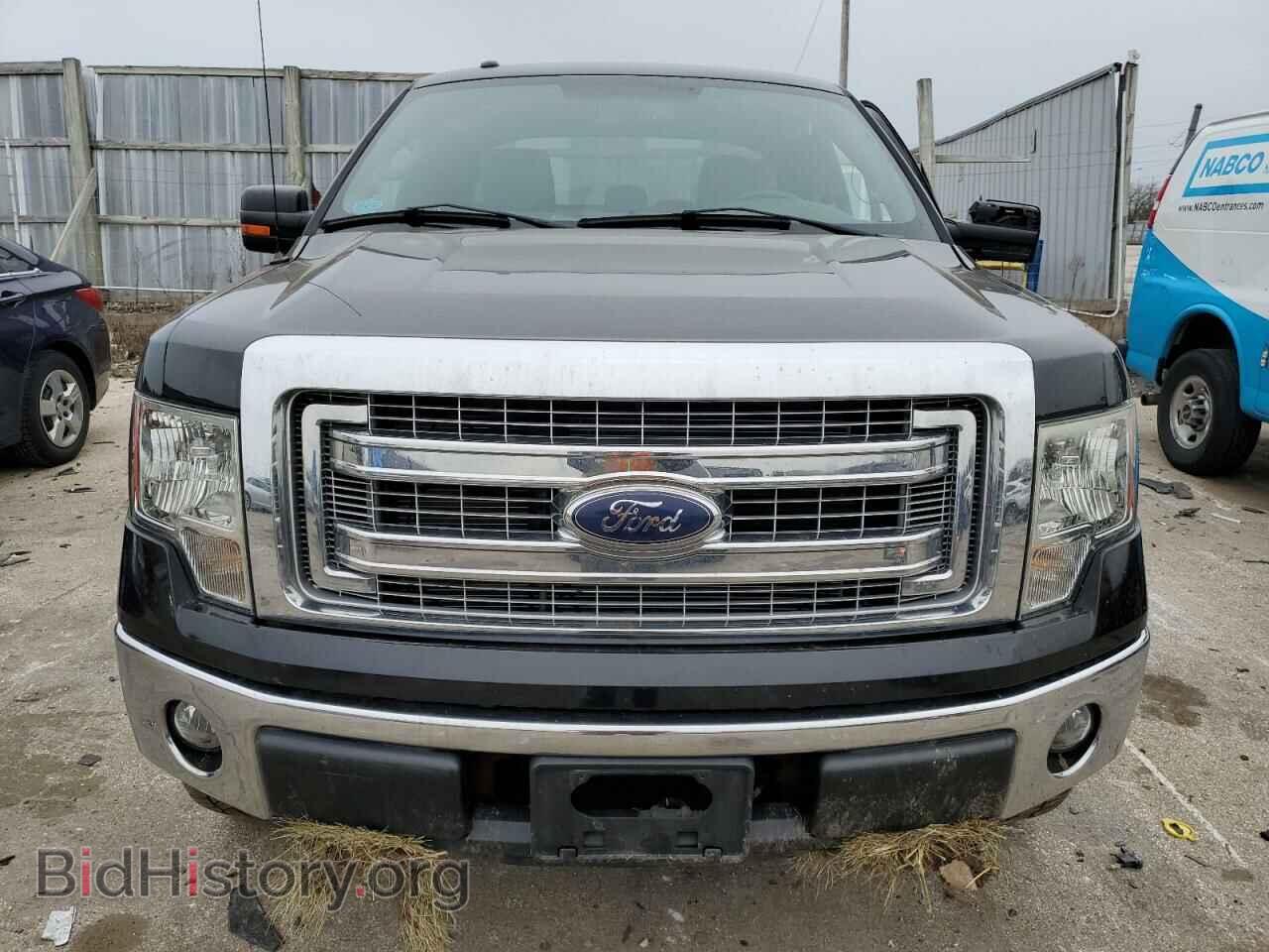 2013 FORD F-150 - VIN: 1FTFX1EFXDFD31695 - Фото 5