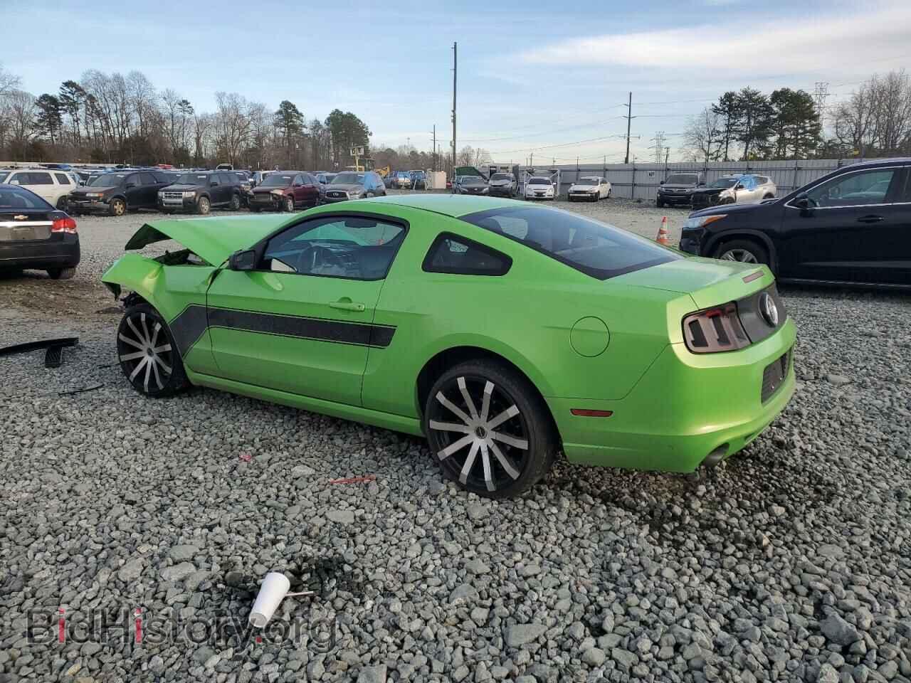 2013 FORD ALL Models - VIN: 1ZVBP8AM7D5223470 - Фото 2