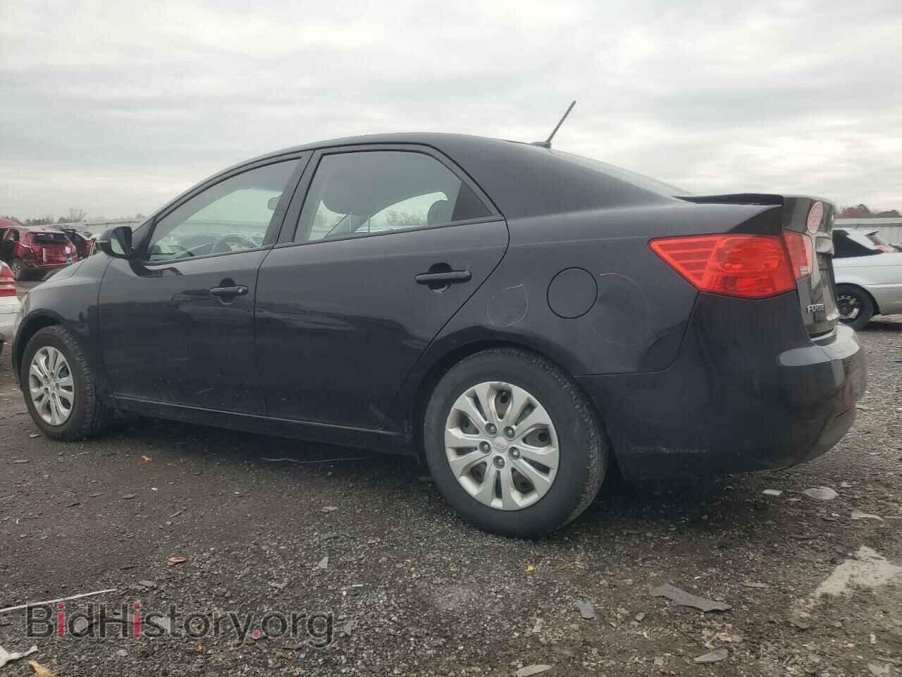 2012 KIA FORTE - VIN: KNAFU4A29C5631064 - Фото 2