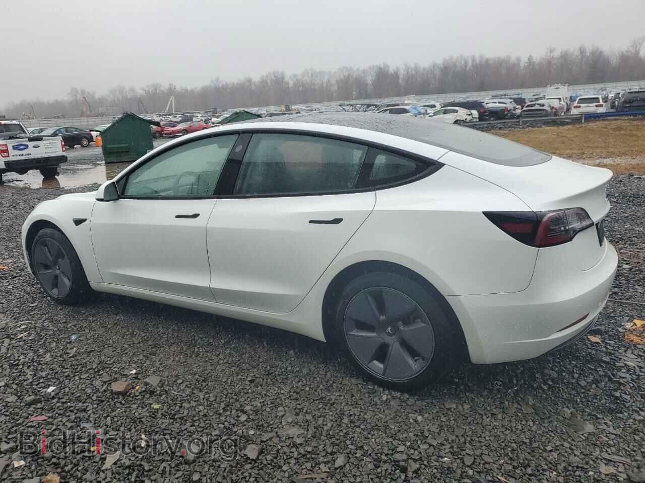 2023 TESLA MODEL 3 - VIN: 5YJ3E1EA1PF406046 - Photo 2
