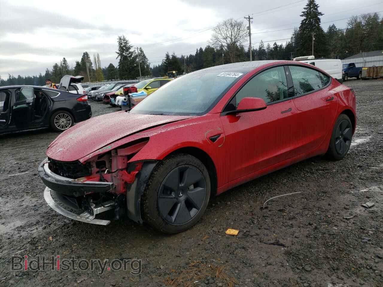 Photo 5YJ3E1EA1PF567769 - TESLA MODEL 3 2023