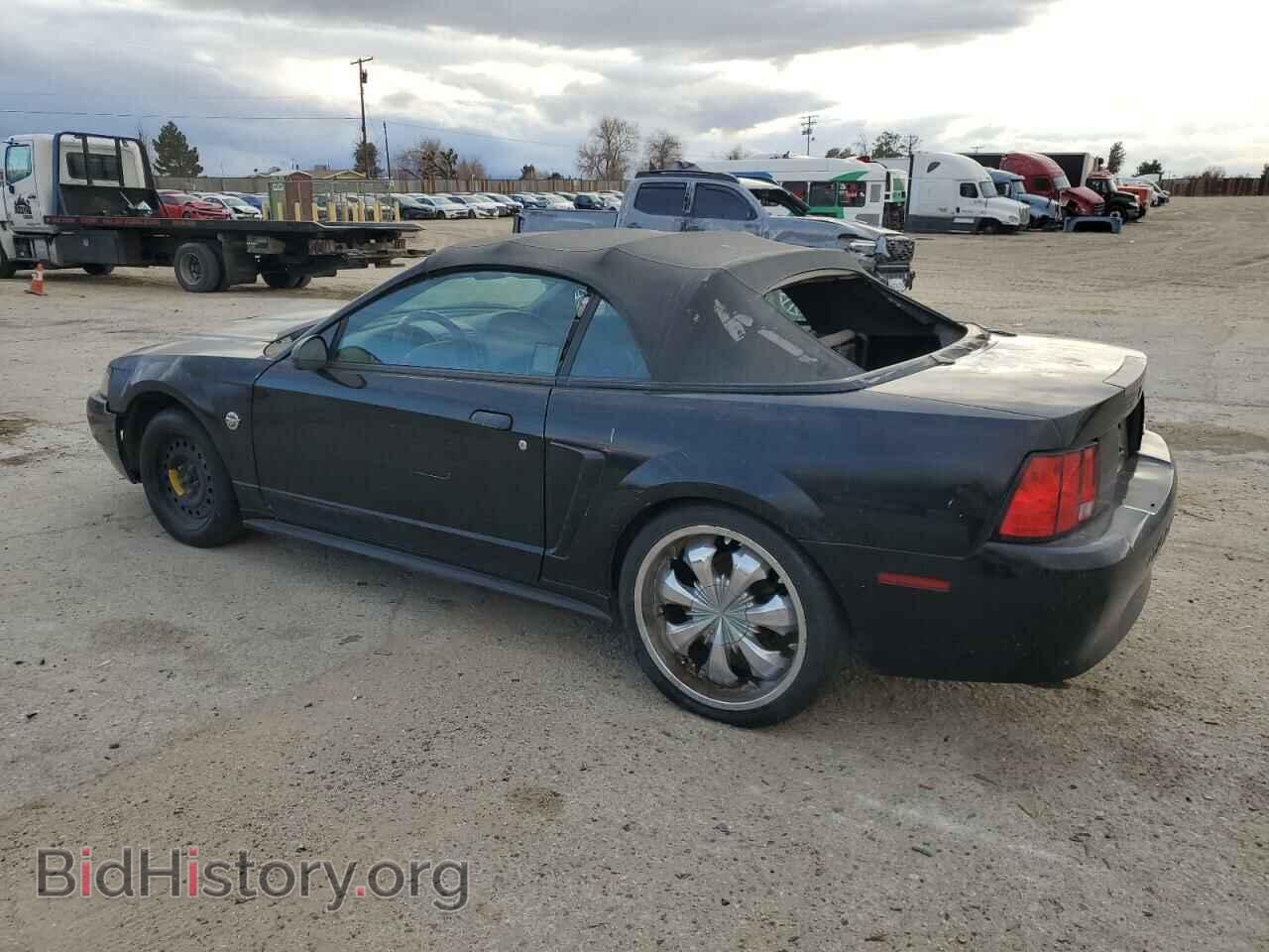 2004 FORD ALL Models - VIN: 1FAFP44644F189479 - Photo 2