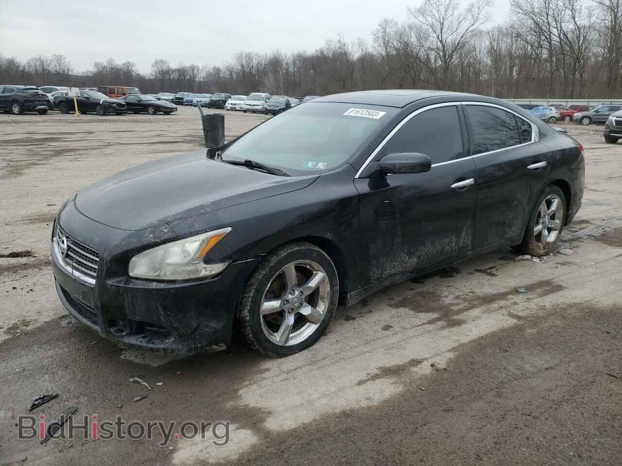 Photo 1N4AA51E49C859862 - NISSAN MAXIMA 2009