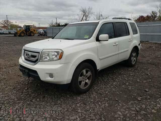 Фотография 5FNYF4H52BB045731 - HONDA PILOT 2011