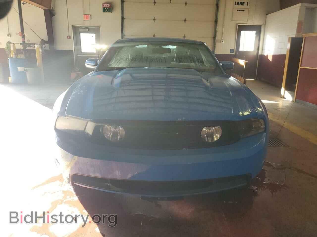2010 FORD MUSTANG - VIN: 1ZVBP8CH5A5148411 - Фото 5