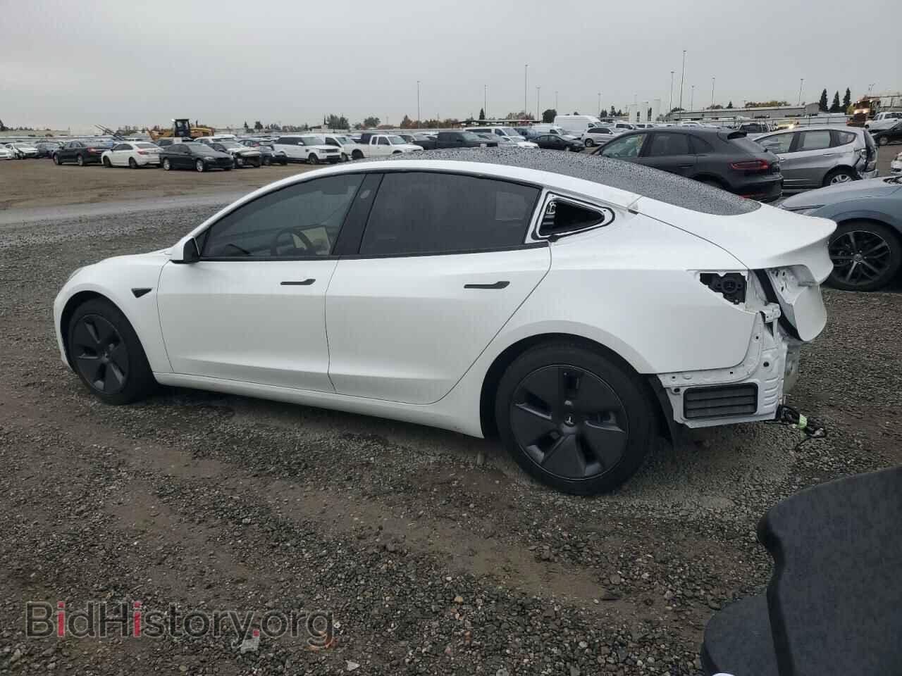 2023 TESLA MODEL 3 - VIN: 5YJ3E1EA0PF459174 - Photo 2