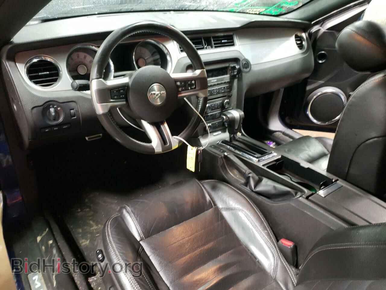 2010 FORD ALL Models - VIN: 1ZVBP8AN3A5145130 - Фото 8