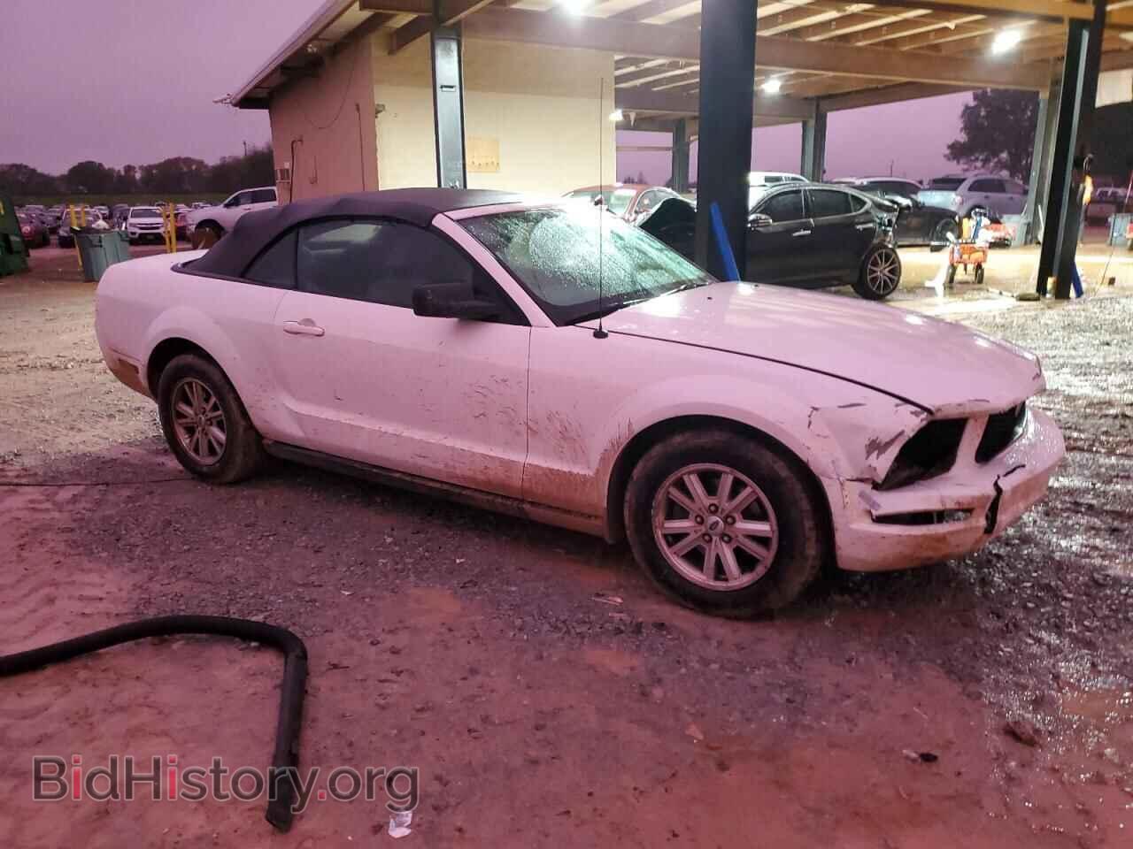 2006 FORD ALL Models - VIN: 1ZVFT84N565264216 - Фото 4