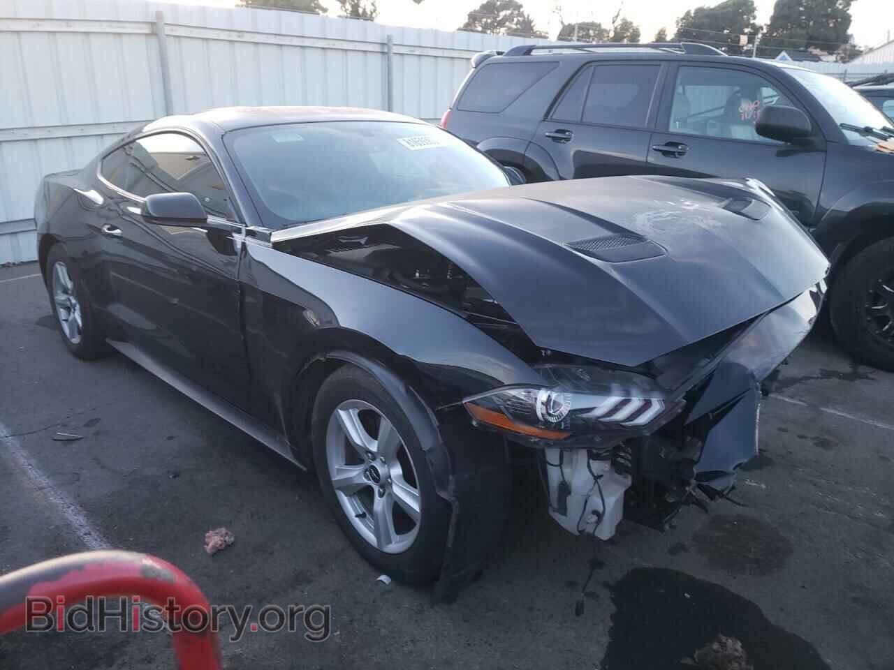 2019 FORD ALL Models - VIN: 1FA6P8TH5K5197846 - Фото 4