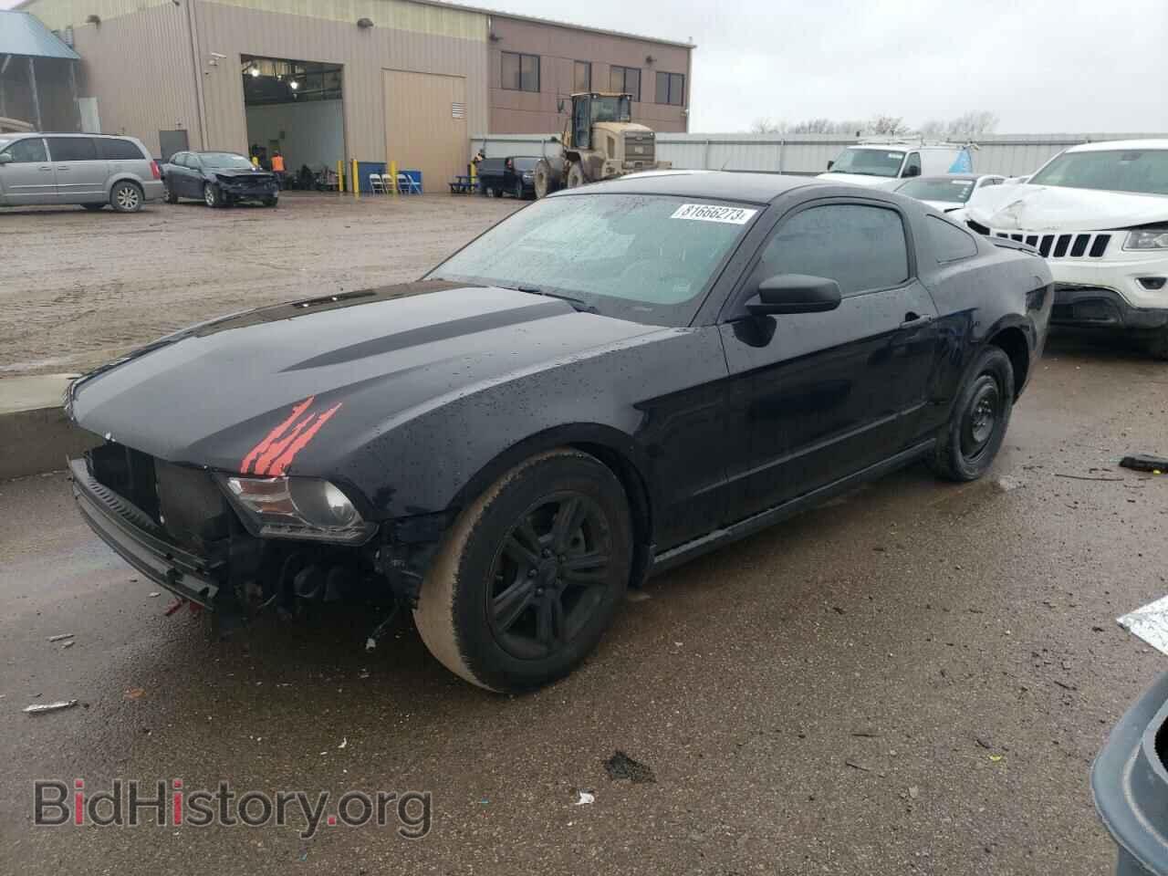 Фотография 1ZVBP8AM7C5227209 - FORD ALL Models 2012