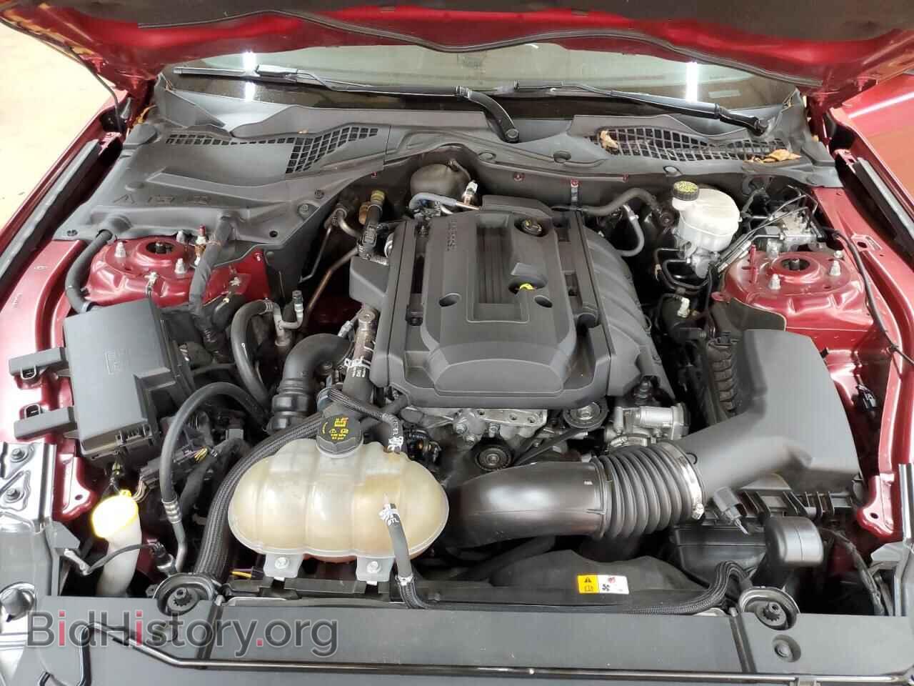 2017 FORD ALL Models - VIN: 1FA6P8THXH5328522 - Photo 11