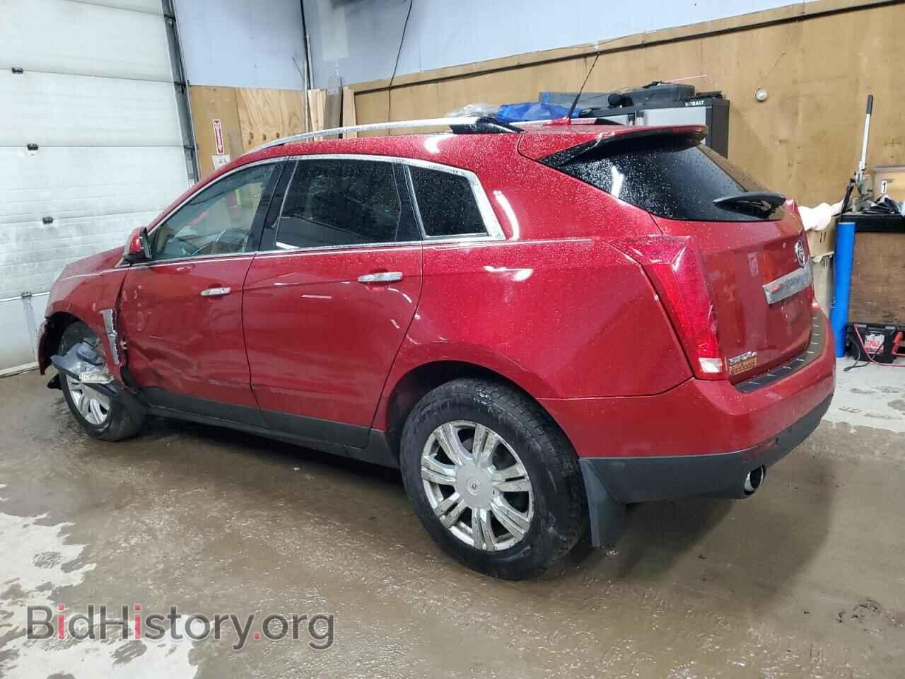 2010 CADILLAC SRX - VIN: 3GYFNDEY7AS638123 - Фото 2