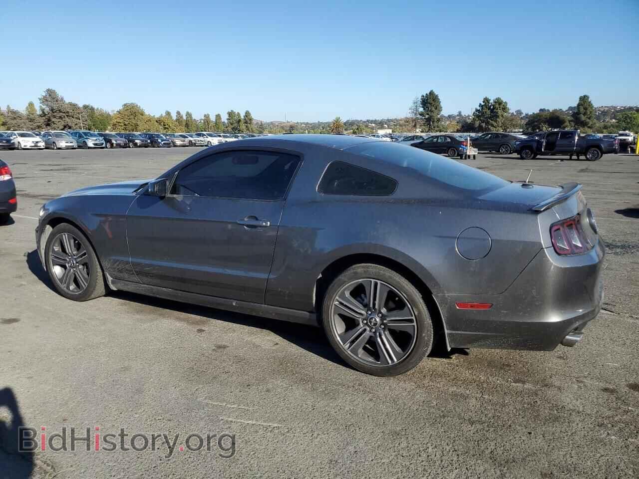 2013 FORD ALL Models - VIN: 1ZVBP8AM4D5227069 - Фото 2