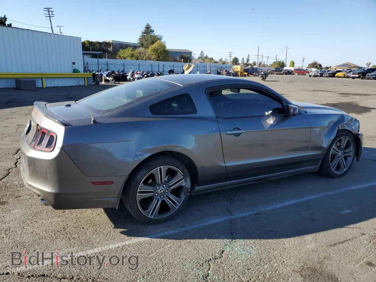 2013 FORD ALL Models - VIN: 1ZVBP8AM4D5227069 - Фото 3